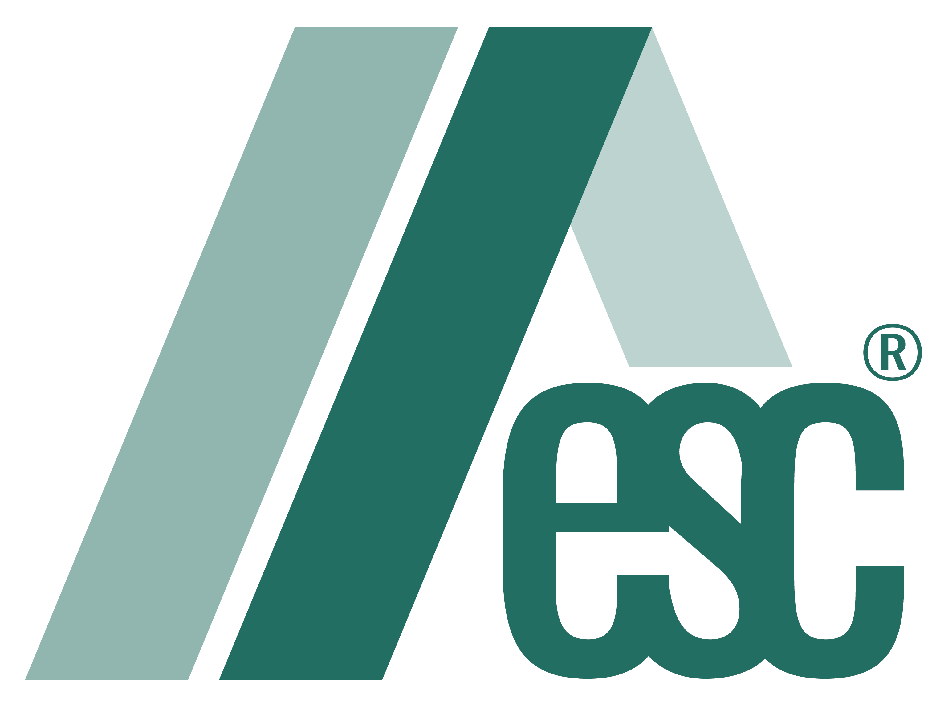 ESC logo